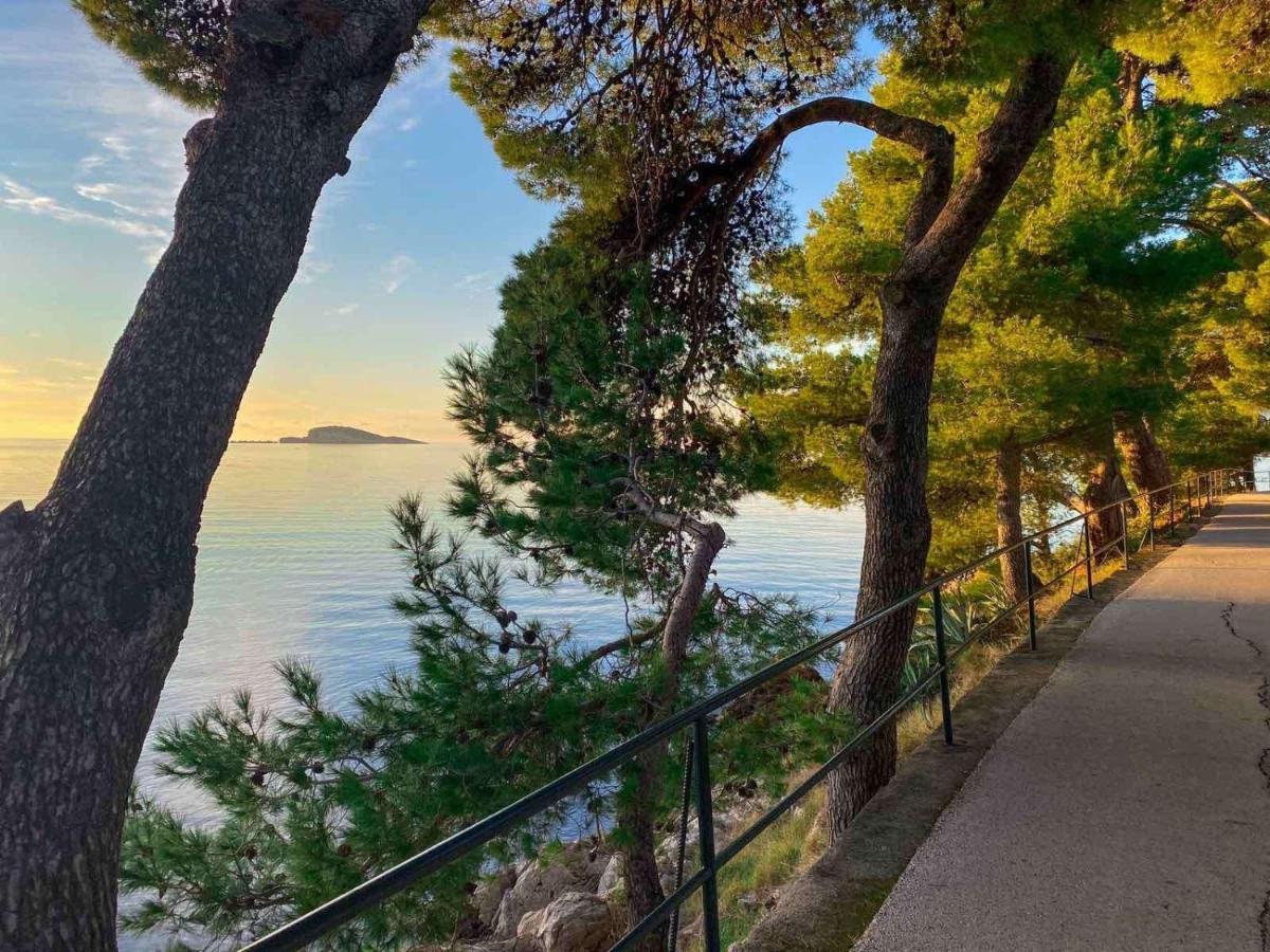 Apartments Kralj Ana Cavtat Dış mekan fotoğraf